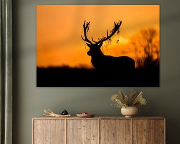 Silhouette Stag Red Deer, Stuart Harling sur 1x