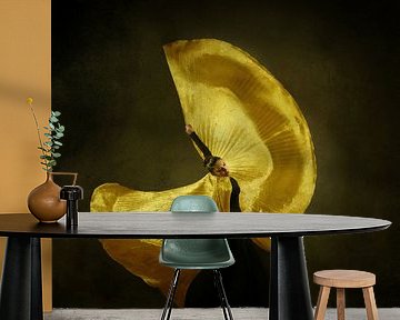 The girl & dance by Moein Hasheminasab