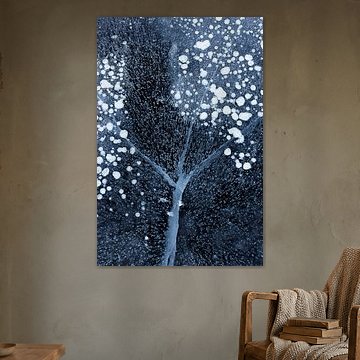 Winterblüte von Mei Xu