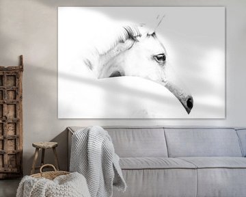 paard en minimalisme, Ulrike Leinemann van 1x