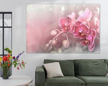 Dromerige Roze Orchideeën. Pastel. van Alie Ekkelenkamp