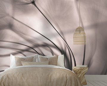 Ohne Titel von Keren Or