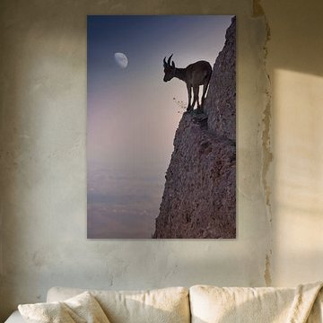 Mit einem Blumenstrauß von Renato J. López Baldó