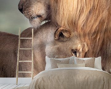 Wild Love by Ali Khataw