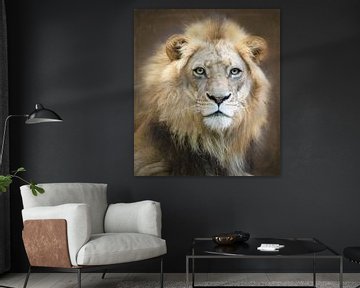 Portret van een jonge mannelijke leeuw, Linda D Lester van 1x
