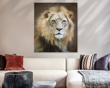 Portret van een jonge mannelijke leeuw, Linda D Lester van 1x
