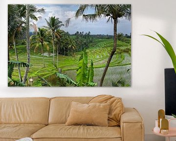 Bali rice fields by Giovanni della Primavera