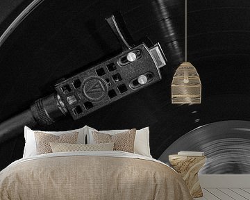 Vinyl_001 by Pictufy Studio III