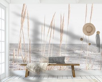 Beach_Vass_001 by Pictufy Studio III