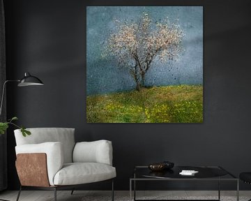 Almond tree, Jacqueline van Bijnen by 1x