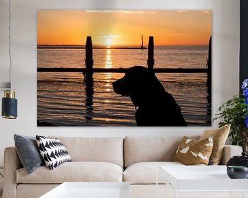 zwarte labrador bij zonsopkomst van Annelies Cranendonk