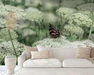 Butterfly on Cow Parsley by Alie Ekkelenkamp