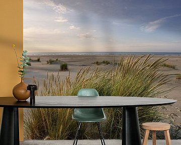 Strand van Ameland (3)