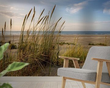 Strand van Ameland (4)