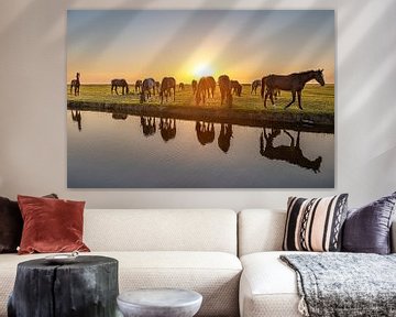 Chevaux au soleil couchant au bord d'un fossé