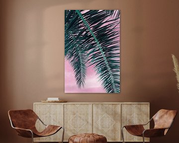 A l'ombre du palmier dattier, feuilles et ciel rose