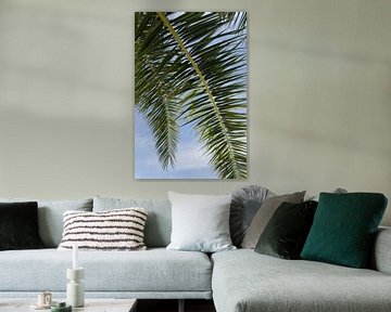 A l'ombre du palmier dattier, feuilles et ciel bleu