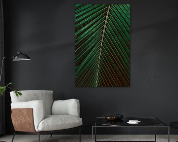 Tropisch palm blad close-up in donkergroene kleur tinten | Natuur fotografie van Denise Tiggelman