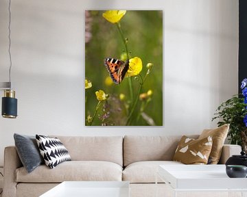 Vlinder | Kleine Vos | Nederlandse natuur van Kimberley Helmendag