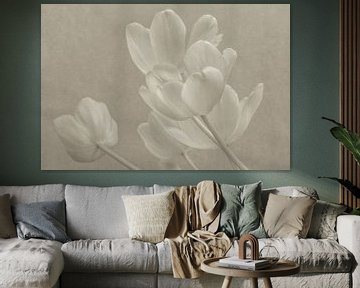 Tulpen in Sepia van Renee Klein