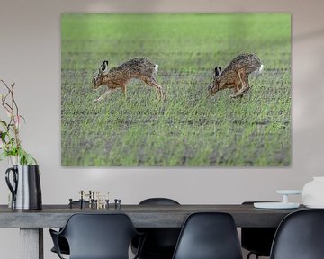 Zwei Hasen auf einem Feld von Henk de Boer