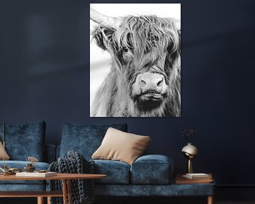 Highland Cow Wassenaar by Sonny Vermeer