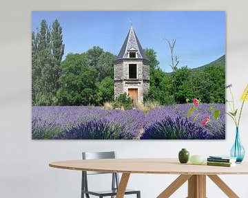 Lavender field in Drôme Provençale France by Peter Bartelings