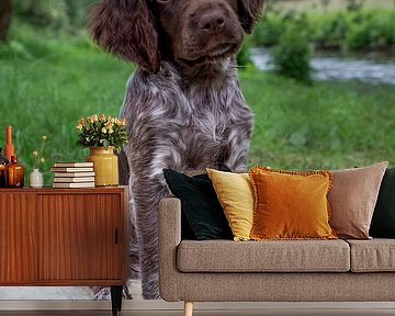 Zittende Heidewachtel puppy  op een kleedje aan de