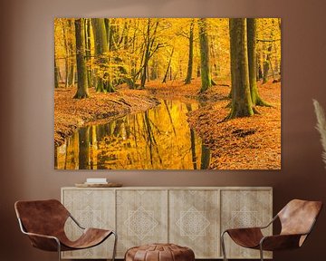 Creek in a fall forest during an early autumn morning by Sjoerd van der Wal Photography