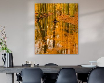 Bach in einem Herbstwald an einem frühen Herbstmorgen von Sjoerd van der Wal Fotografie