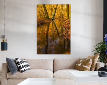 Creek in a fall forest during an early autumn morning by Sjoerd van der Wal Photography