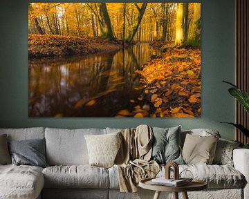 Beek in een herfstbos tijdens een vroege herfstochtend van Sjoerd van der Wal Fotografie