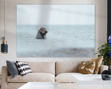 Zeehond in zee van Ruben Van Dijk