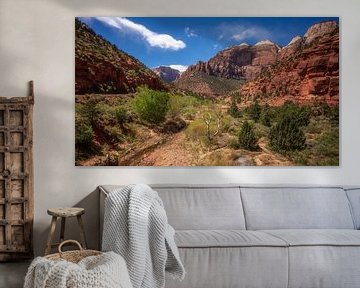 Parc national de Zion sur Photo Wall Decoration