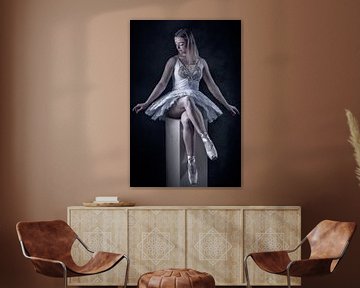 Stylish ballerina by Bram van Dal
