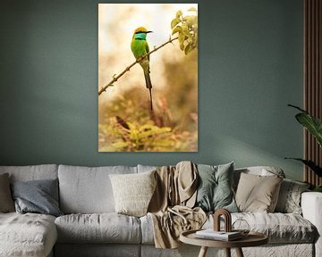 Bee Eater by Jan Schuler