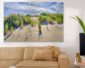 dune in the landscape with flowering marram grass