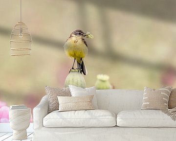 Yellow wagtail on a poppy bulb by KB Design & Photography (Karen Brouwer)