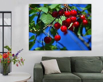Cherries on tree