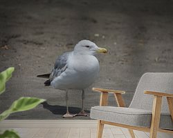 Raumvorschau
