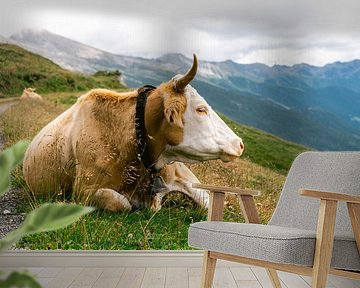 Kuh in den französischen Alpen von Suzanne Spijkers