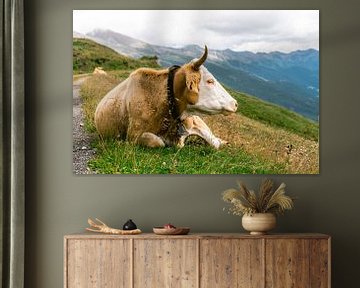 Koe in de Franse Alpen van Suzanne Spijkers