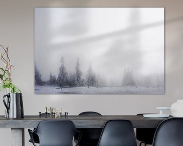 Nebel und Schnee im Harz in Deutschland von Suzanne Spijkers