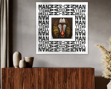 Mandrill by Esther van de Beek