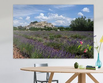 Castle of Grignan, France by Peter Bartelings