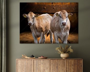 Portret van koeien van Jan Poppe