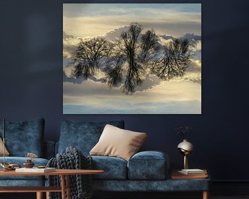 mirrored cloud landscape by Jannie Looge