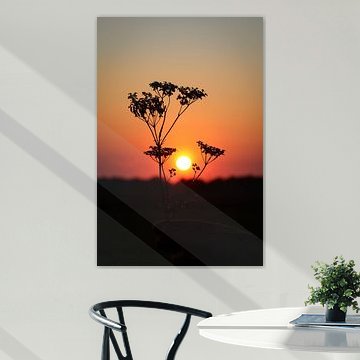 Un beau ciel avec un coucher de soleil