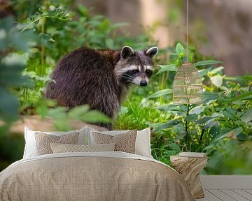 Een wasbeer zit in het groene bos