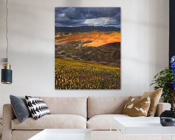 Zonsondergang bij de Painted Hills van Henk Meijer Photography